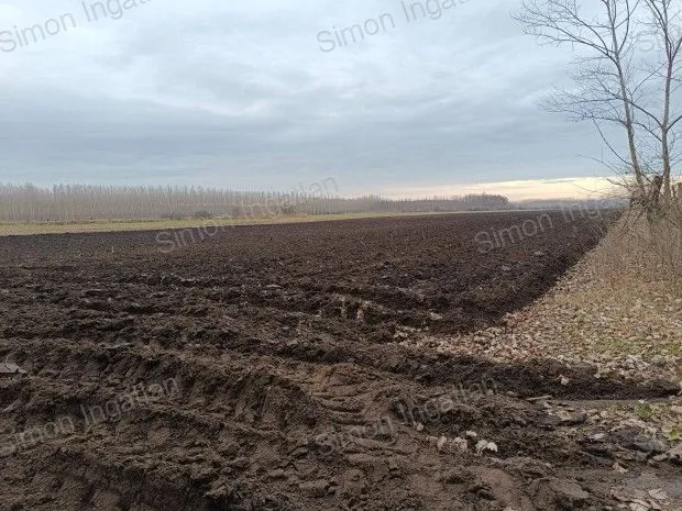 Eladó mezőgazdasági ingatlan Kecskemét, Talfája 66251 nm