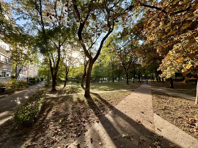 Eladó lakás Budapest XX. kerület 56 nm