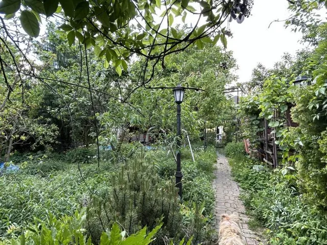 Eladó ház Budapest XVI. kerület, Rákosszentmihály 281 nm