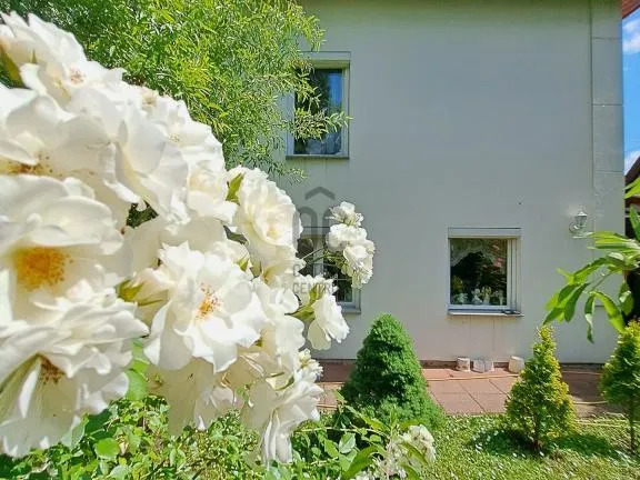 Eladó üdülő és hétvégi ház Velence, Velencefürdő 100 nm