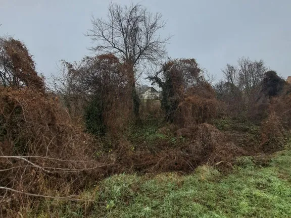 Eladó telek Kocs 1302 nm