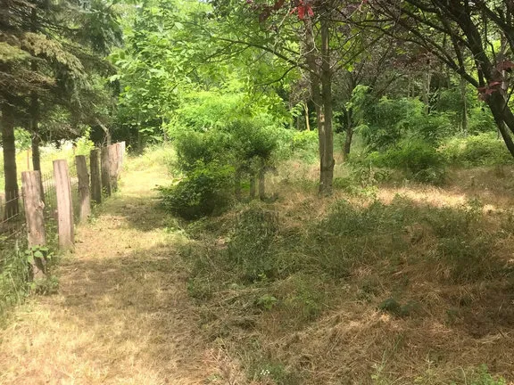 Eladó telek Pécel 5000 nm