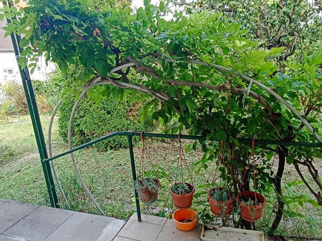 Eladó telek Budapest XVII. kerület, Rákoscsaba 753 nm