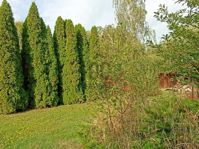 Eladó telek Budapest XVII. kerület, Rákoscsaba 512 nm