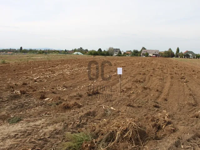 Eladó mezőgazdasági ingatlan Budapest XVI. kerület, Cinkota 5339 nm