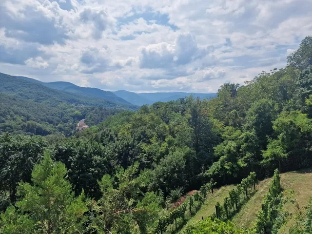 Eladó telek Zebegény 2029 nm