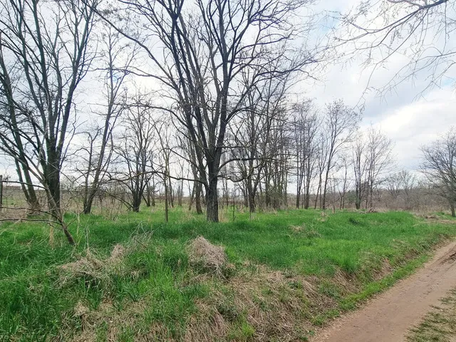 Eladó telek Csömör 1267 nm