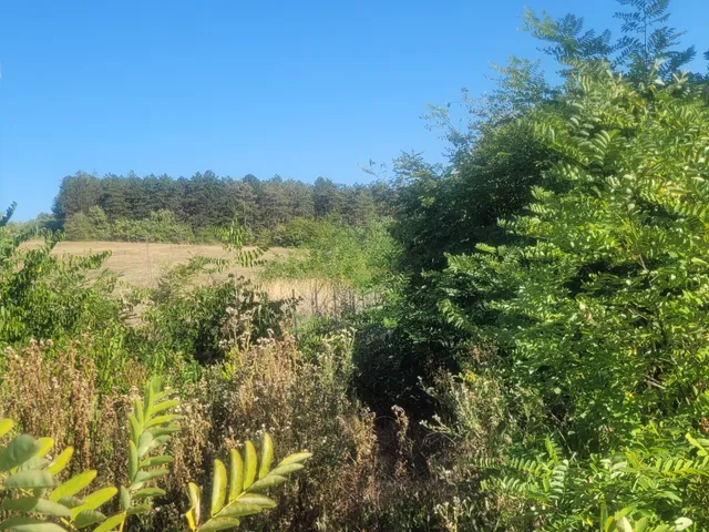 Eladó telek Kerepes 1090 nm
