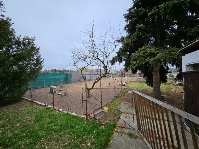 Eladó ház Szeged, Szőreg 100 nm