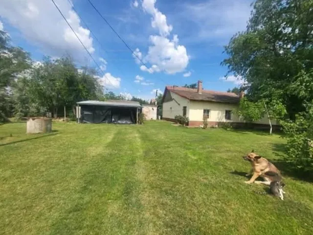 Eladó mezőgazdasági ingatlan Szeged 90 nm