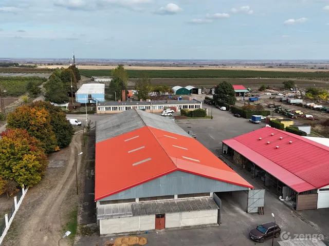 Eladó mezőgazdasági ingatlan Ceglédbercel 285000 nm