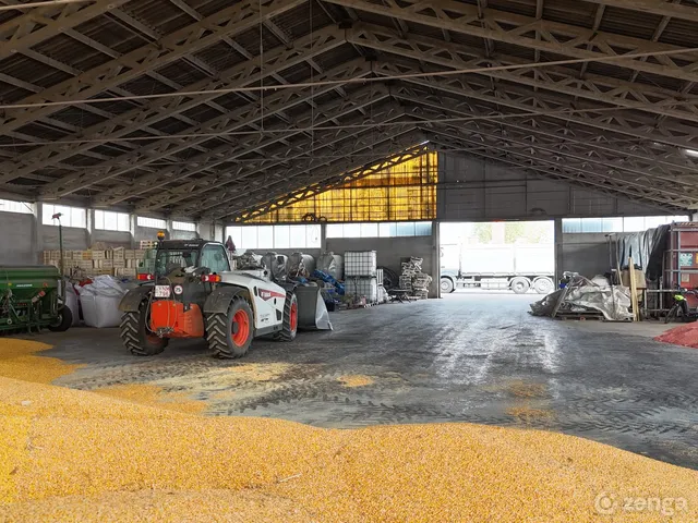 Eladó mezőgazdasági ingatlan Ceglédbercel 285000 nm