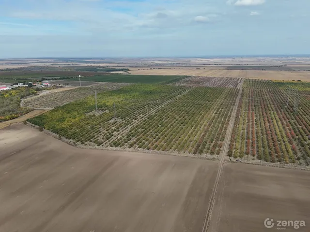 Eladó mezőgazdasági ingatlan Ceglédbercel 285000 nm