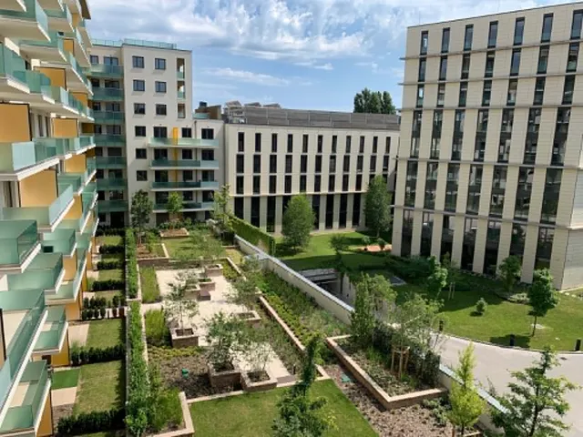 Kiadó lakás Budapest IX. kerület, Középső Ferencváros, Pápay István utca 35 nm