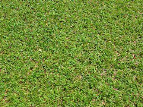 Eladó telek Sávoly 2114 nm