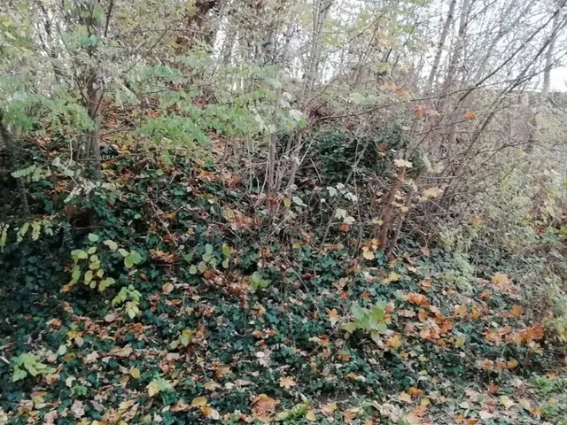 Eladó telek Zalakaros 597 nm