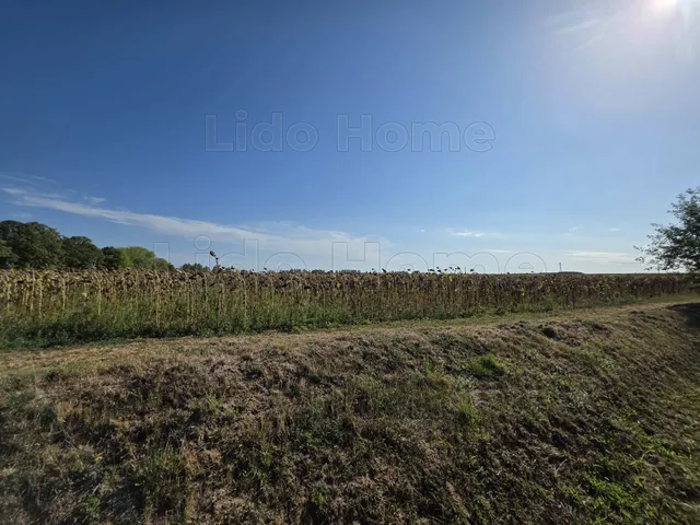 Eladó telek Balatonkeresztúr 915 nm