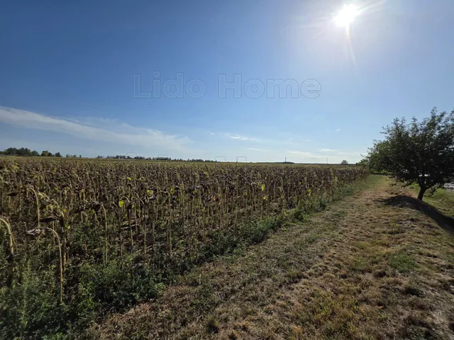 Eladó telek Balatonkeresztúr 1323 nm