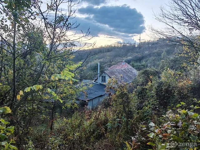 Eladó telek Sárisáp, Pincesor u. 62. 1269 nm