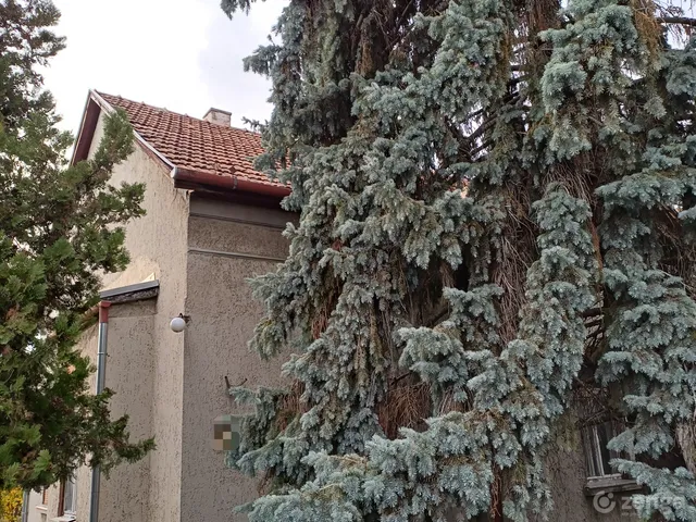 Eladó ház Budapest XVI. kerület, Rákosszentmihály 90 nm