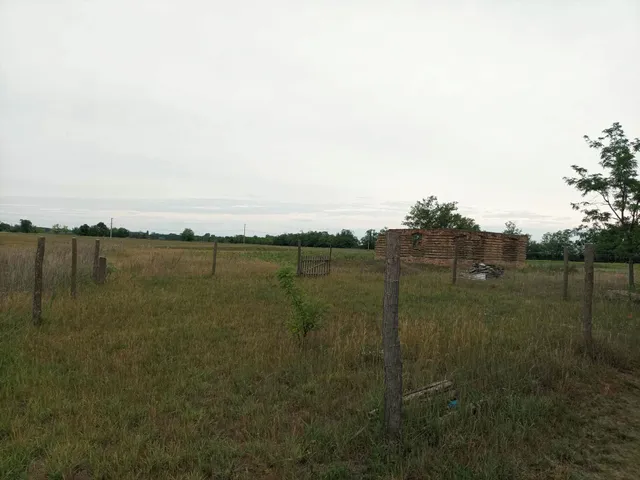 Eladó mezőgazdasági ingatlan Szatymaz 50 nm