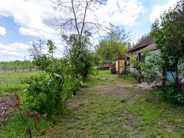 Eladó ház Kiskunfélegyháza 50 nm