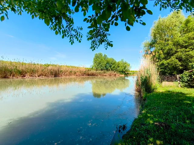 Eladó telek Mezőberény 953 nm