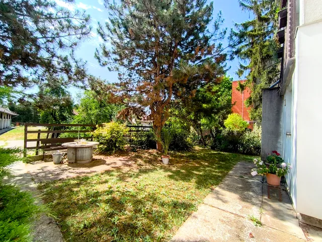 Eladó lakás Füzesgyarmat 118 nm