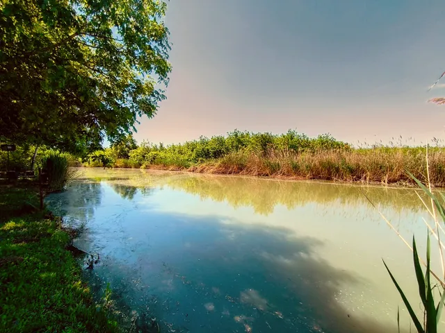 Eladó mezőgazdasági ingatlan Mezőberény 953 nm