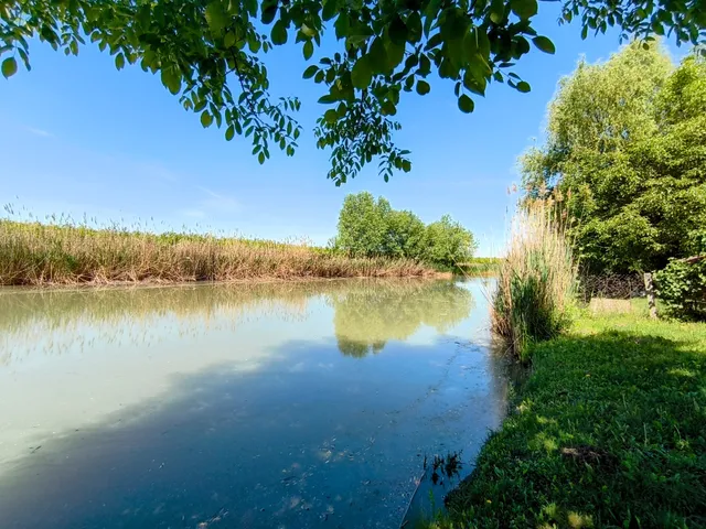 Eladó mezőgazdasági ingatlan Mezőberény 953 nm