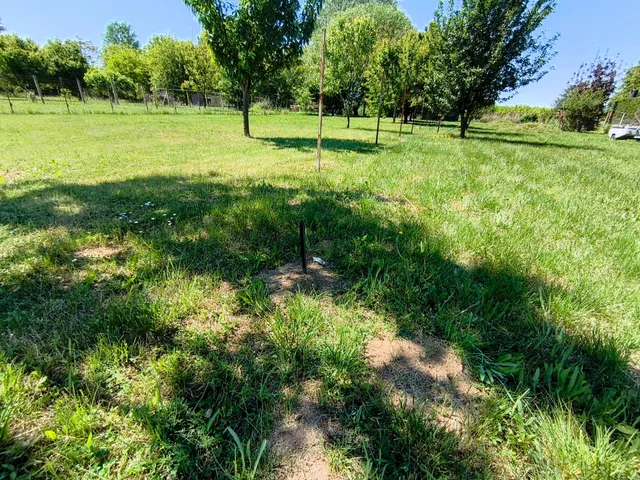 Eladó mezőgazdasági ingatlan Mezőberény 953 nm