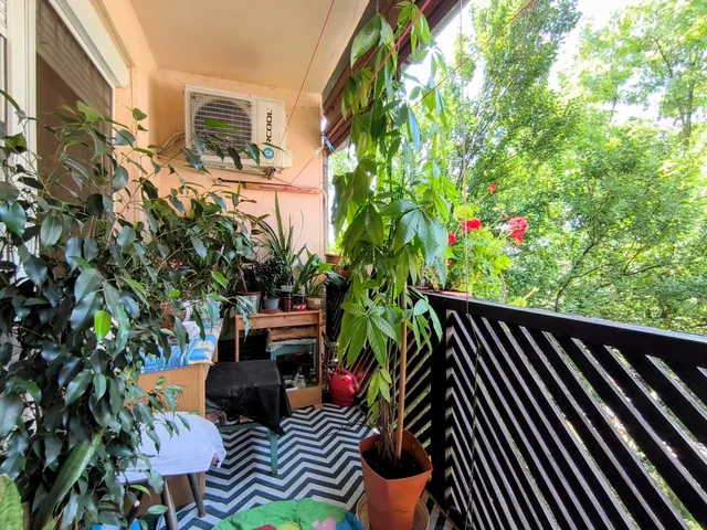 Eladó lakás Füzesgyarmat 118 nm