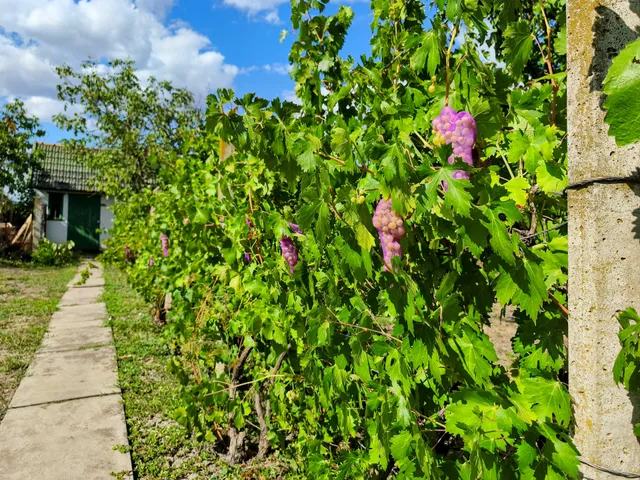 Eladó üdülő és hétvégi ház Békéscsaba, Kastélyszőlők 35 nm