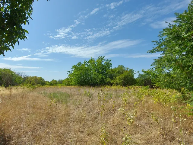 Eladó telek Kóka, Alsószőlősor u. 3741 nm