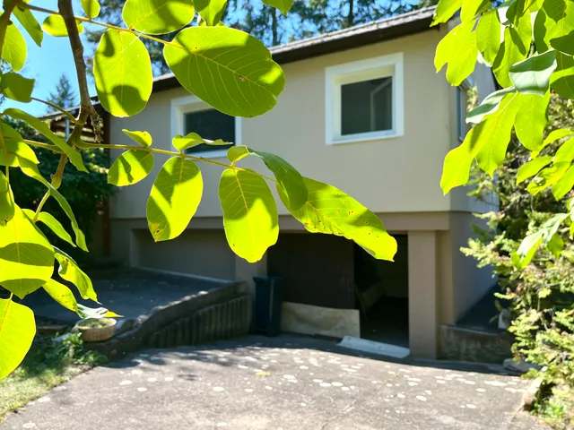 Eladó üdülő és hétvégi ház Erdőkertes, Kilencholdas 40 nm