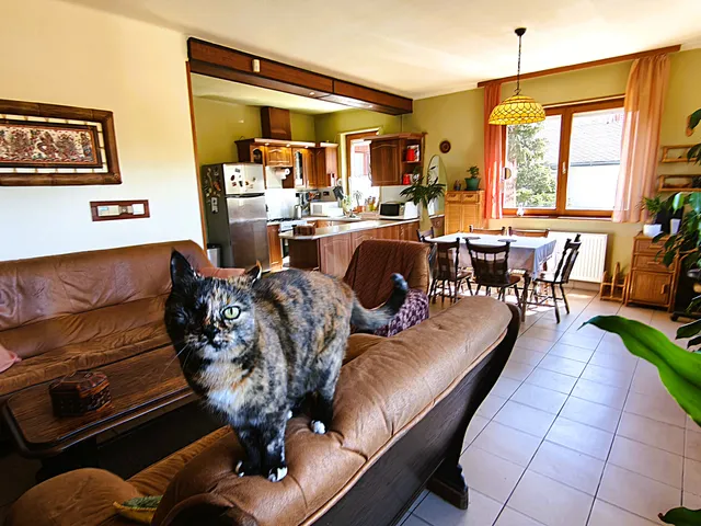 Eladó ház Veresegyház, Öreghegy 168 nm