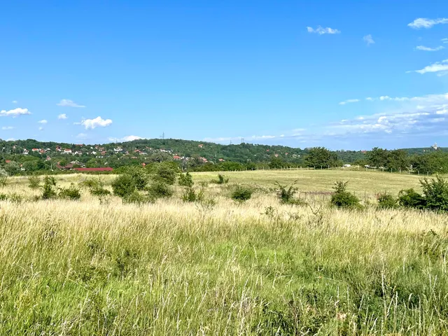 Eladó ház Szada 167 nm