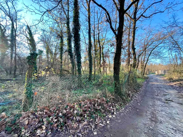 Eladó telek Gödöllő, Blaha, Hegyesi Mari 1088 nm