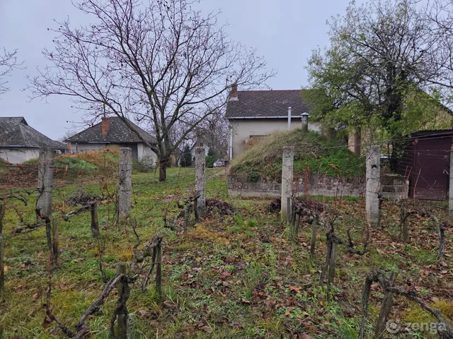 Eladó mezőgazdasági ingatlan Gyúró 1492 nm