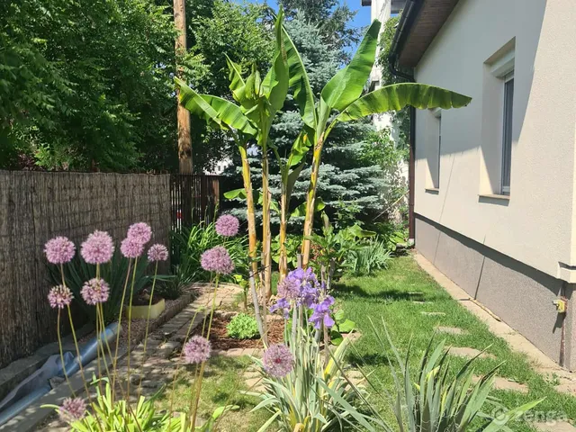 Eladó ház Budapest XV. kerület, Rákospalota 80 nm