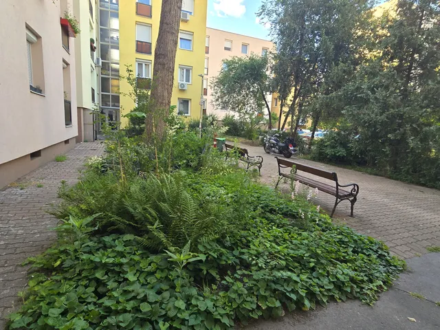 Eladó lakás Budapest IV. kerület, Újpest 67 nm