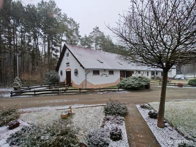 Eladó ház Felsőpakony 300 nm