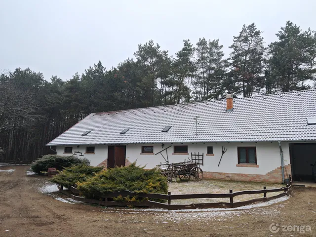 Eladó ház Felsőpakony, Vecsési dűlő 300 nm