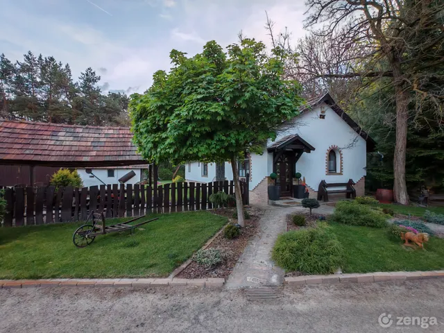Eladó ház Felsőpakony, Vecsési dűlő 300 nm