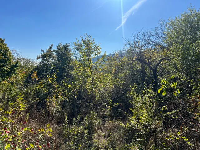 Eladó telek Budapest III. kerület, Pirkadat utca  906 nm