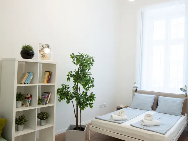 Kiadó lakás Budapest VI. kerület, Teréz körút 44 nm