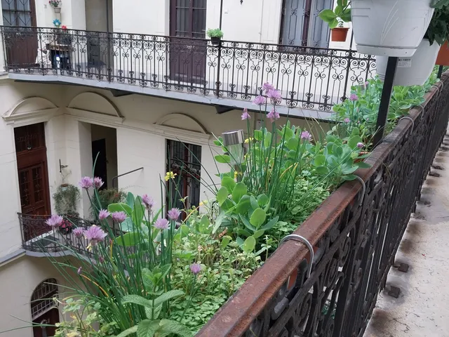 Kiadó lakás Budapest VI. kerület, Bajza utca 57 nm