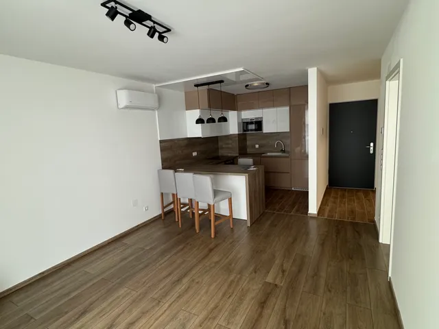Kiadó lakás Budapest IX. kerület, Lenhossék utca 49 nm