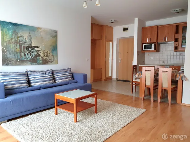 Kiadó lakás Budapest IX. kerület, Középső Ferencváros 53 nm