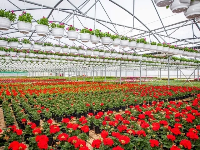 Eladó mezőgazdasági ingatlan Telkibánya 3178 nm